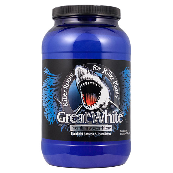 Great White