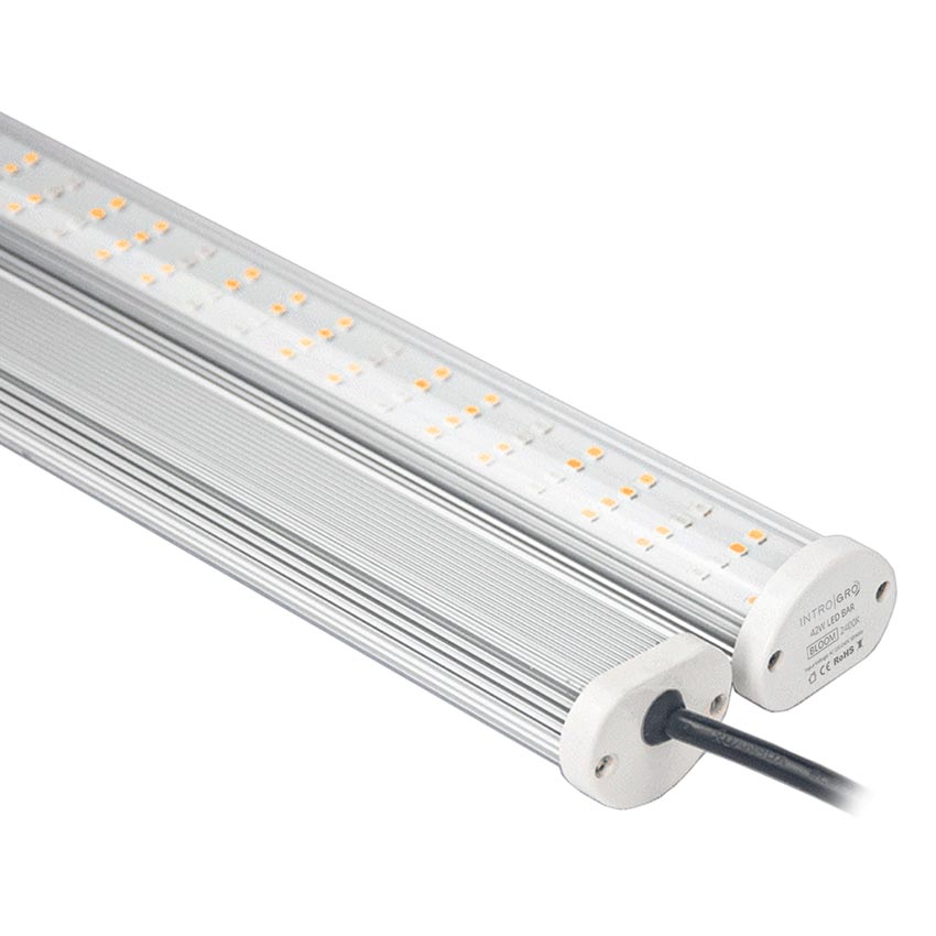 CHAINABLE INTROGRO LED BLOOM LIGHT BAR 42 WATT image 2