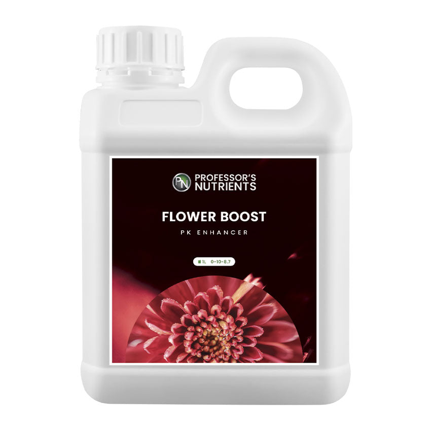 PROFESSOR'S FLOWER BOOST image 0