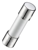 Digi-Lumen Digi-Lumen Ballast Fuse 10 A 250 V 5 mm x 20 mm