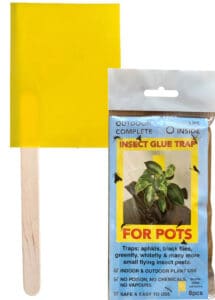 Insect Glue Trap Insect Glue Traps for Pots - Pack 8 6 x 8 cm