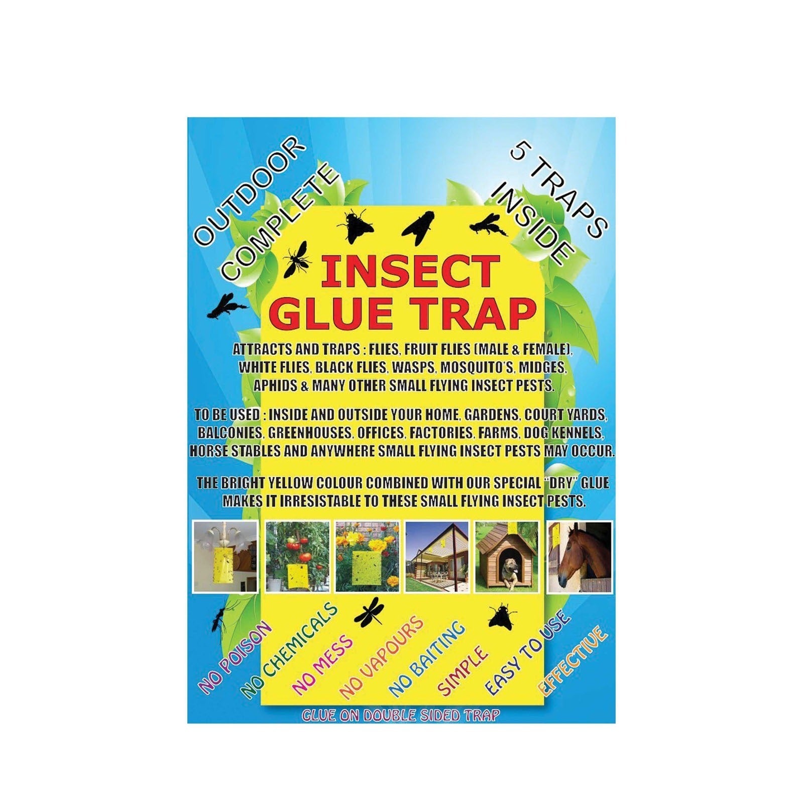 Insect Glue Trap Insect Glue Traps - Pack 10 20 x 15 cm