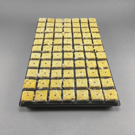 Grodan Grodan SBS 18 trays/77 cubes - 1386 Carton 36x36x40 mm