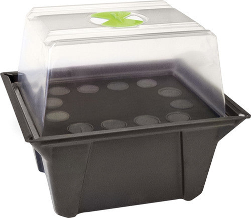nan X-Stream Propagator 12 nan