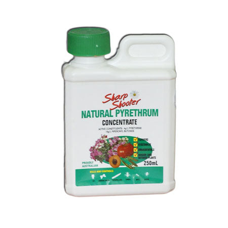 PYRETHRUM NATURAL CONCENTRATE - 200 MLS image 0