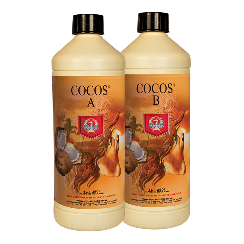 H&G COCOS A&B SET image 1